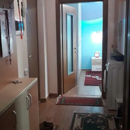 1+1.fully Renovated